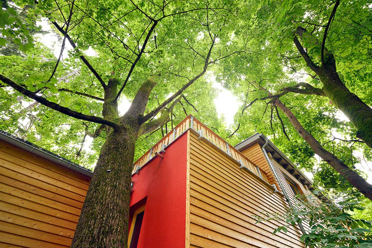 Referenzbild der "Jugendfarm", Holzbauweise im Wald